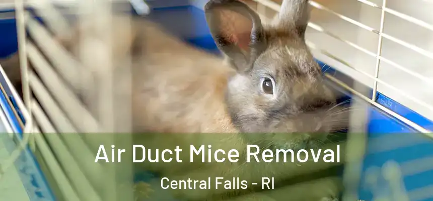 Air Duct Mice Removal Central Falls - RI