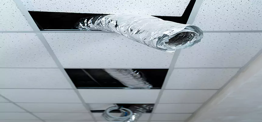 Our Air Duct Pet Hair Removal Services in Central Falls, RI