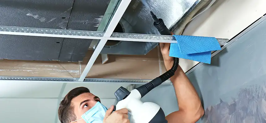 Our Air Duct Rodent Removal Services in Central Falls, RI