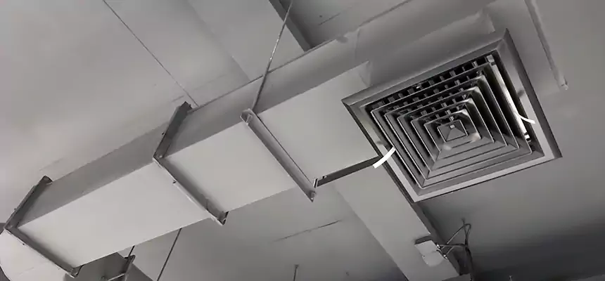 Our Pest Removal From Ducts Services in Central Falls, RI