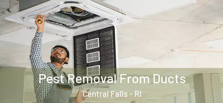  Pest Removal From Ducts Central Falls - RI