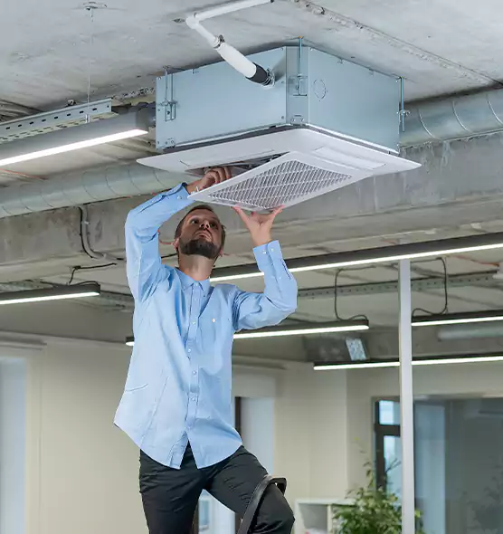 Advanced Rodent Droppings In Vents in Central Falls, RI