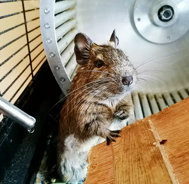 Why Homeowners & Businesses Trust Us Central Falls, RI