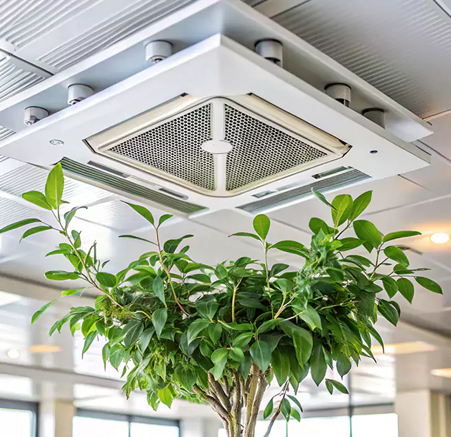 Why Homeowners & Businesses Trust Us in Central Falls, RI?